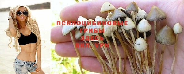 ALPHA-PVP Коряжма